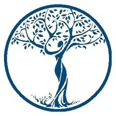 Souza Cleaning Services logo